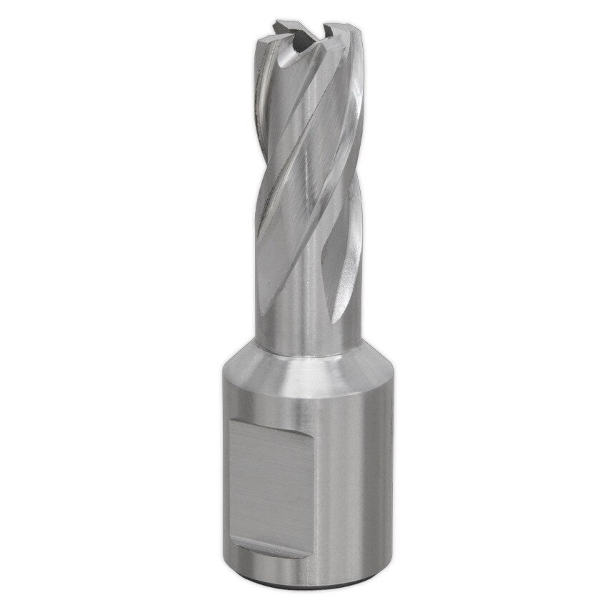 Rotabroach Kärnborr 13.5mm