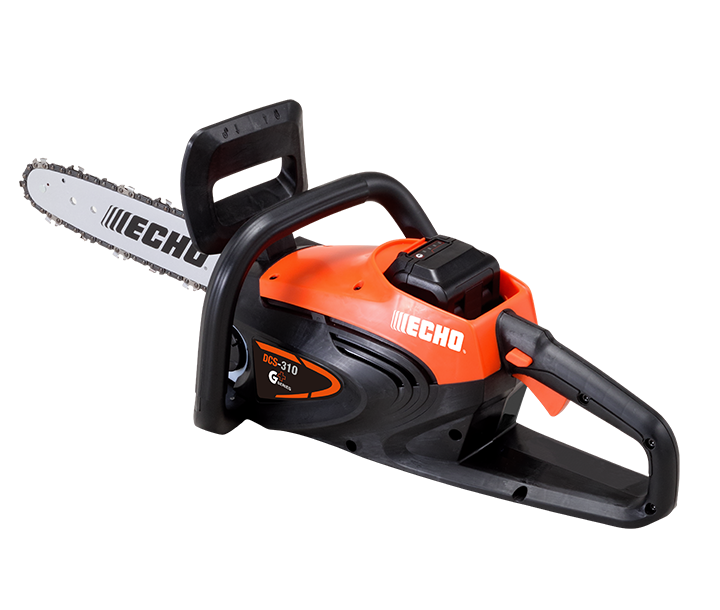 Echo DCS-310