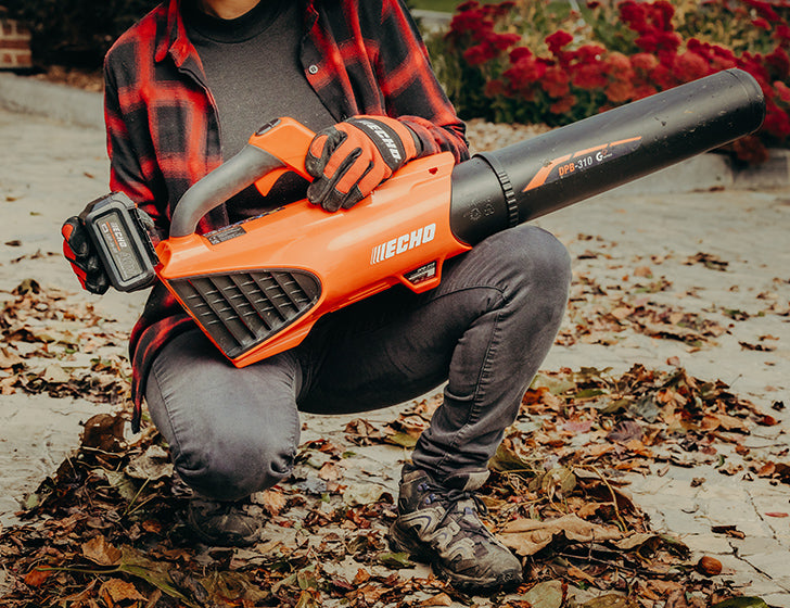 Echo DPB-310