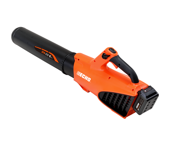 Echo DPB-310